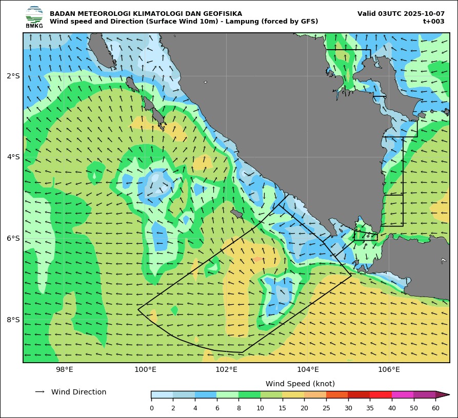 BMKG Peringatkan Gelombang Tinggi dan Banjir Rob Susulan di Pesisir Lampung Timur