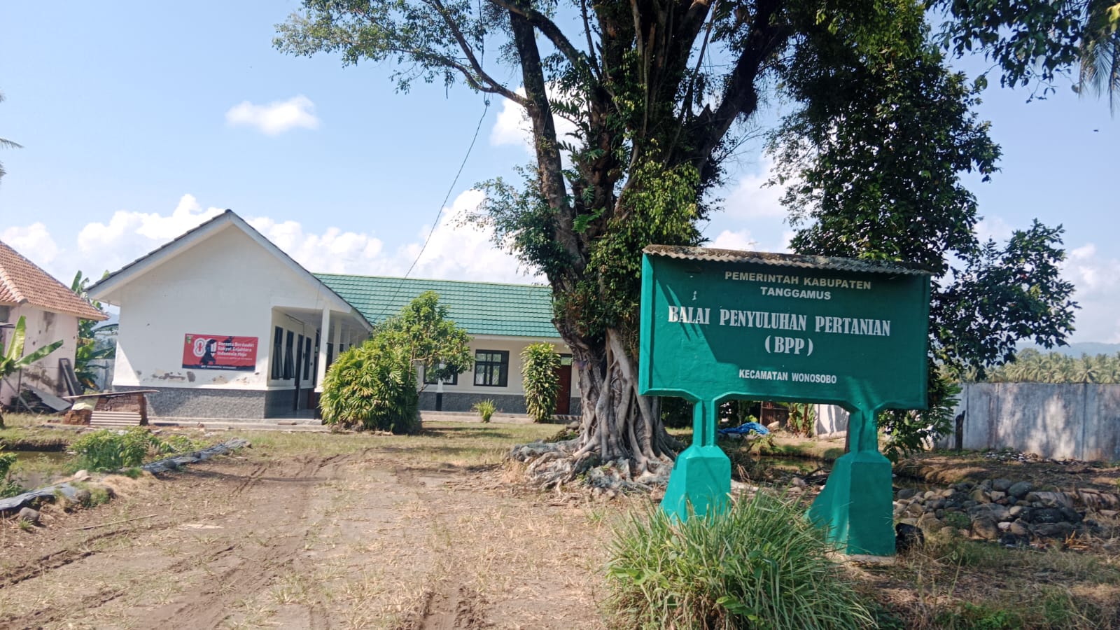 Gedung Mewah, Aktivitas Nihil Balai Penyuluhan Pertanian Wonosobo Seperti Mati Suri