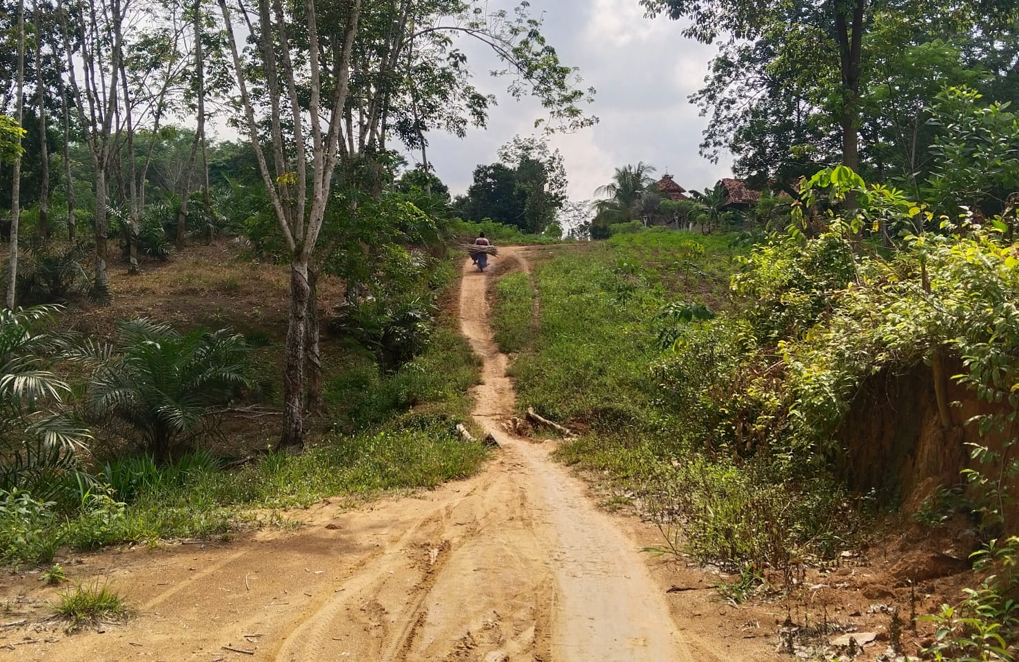 Galau Jalan Tiyuh Rusak Parah Tak Diperbaiki, Warga Penumangan Singgung Alokasi Dana Desa yang Hampir Satu Miliar