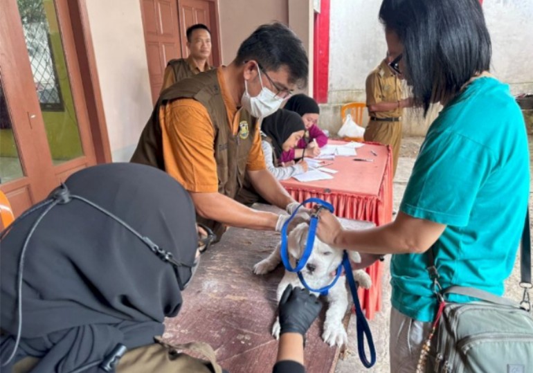 Marak Rabies, Pemkot Bandar Lampung Gencar Vaksin Hewan