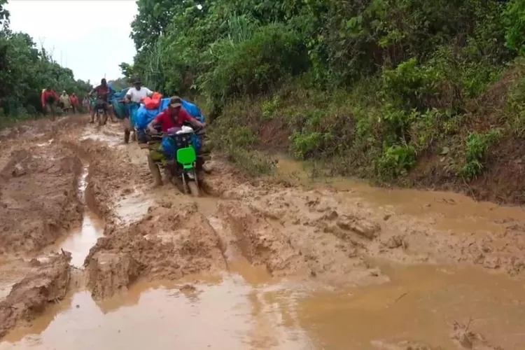 Empat Desa di Kecamatan Bengkunat Pesisir Barat Kesulitan Akses Jalan Proses Pembangunan Jalan Belum Dapat Izin TNBBS