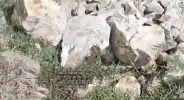 Proyek Pagar Mako Brimob Lampung Tengah Rp1,74 Miliar Diduga Pakai Batu Napal