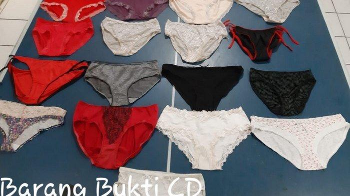 Kerap Curi Pakaian Dalam Mahasiswi, Seorang Mahasiswa Universitas Aisyah Pringsewu Ditangkap