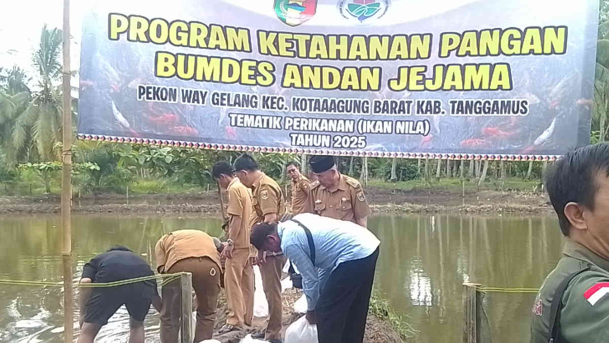 BUMDes Andan Jejama Dorong Ketahanan Pangan Lewat Budidaya Ikan Nila Monoseks di Waygelang