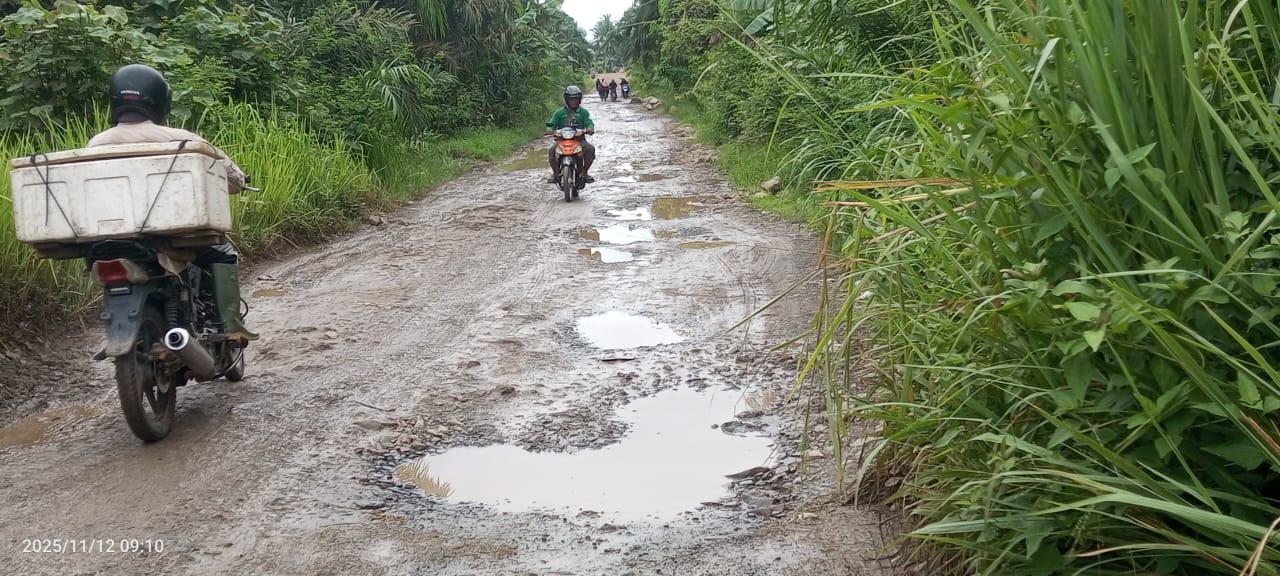 Dua Dekade Terabaikan: Jalan Penghubung Antar Kabupaten di Lampung Timur Memprihatinkan