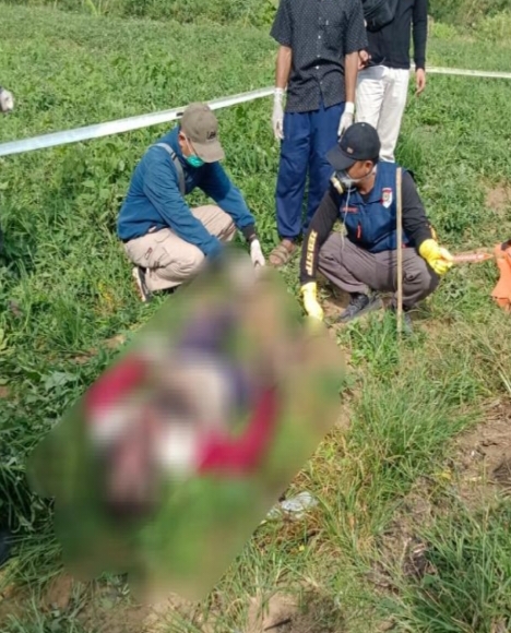 Petani di Pesisir Barat Tewas Kesetrum Jebakan Babi yang Ia Pasang Sendiri