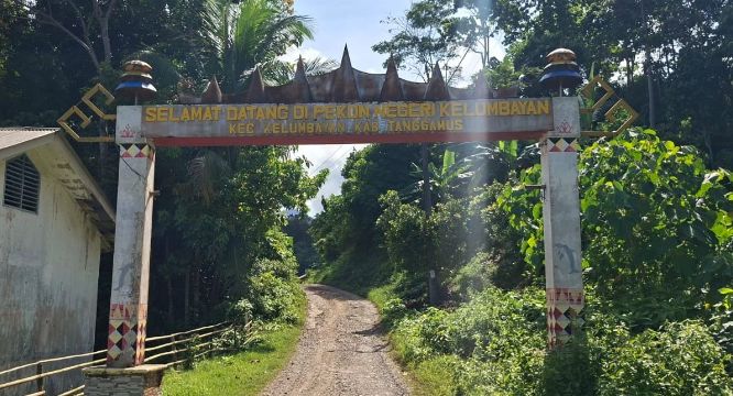 Lima Sapi “Raib” di Negeri Kelumbayan: Program Ketahanan Pangan Berujung Skandal Dana Desa