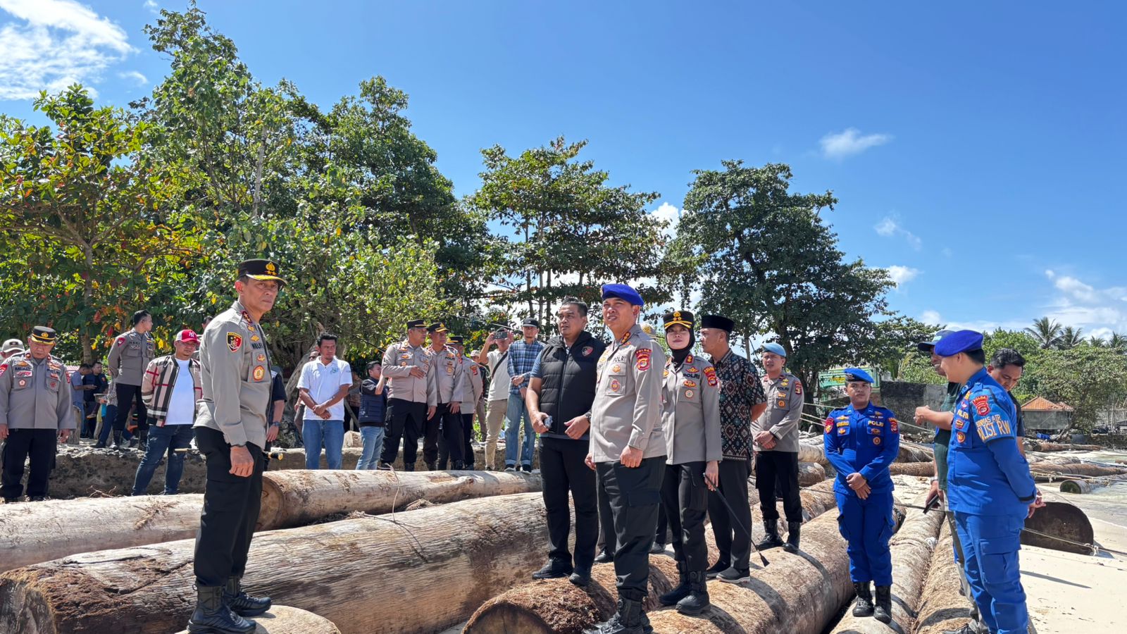 Polda Lampung Sebut Ribuan Kubik Kayu Gelondongan Super di Pantai Tanjung Setia Pesisir Barat Adalah Kayu Legal