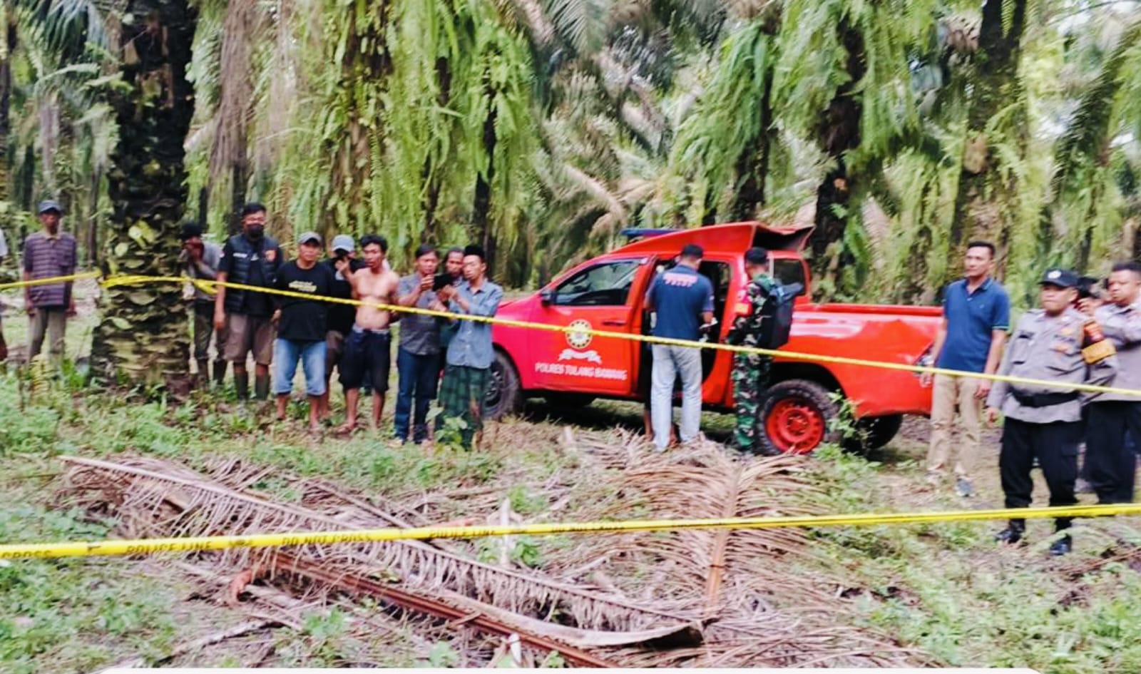 Siswa SMK Tulang Bawang Ditemukan Tewas Membusuk di Kebun Sawit, Polisi Dalami Dugaan Pembegalan