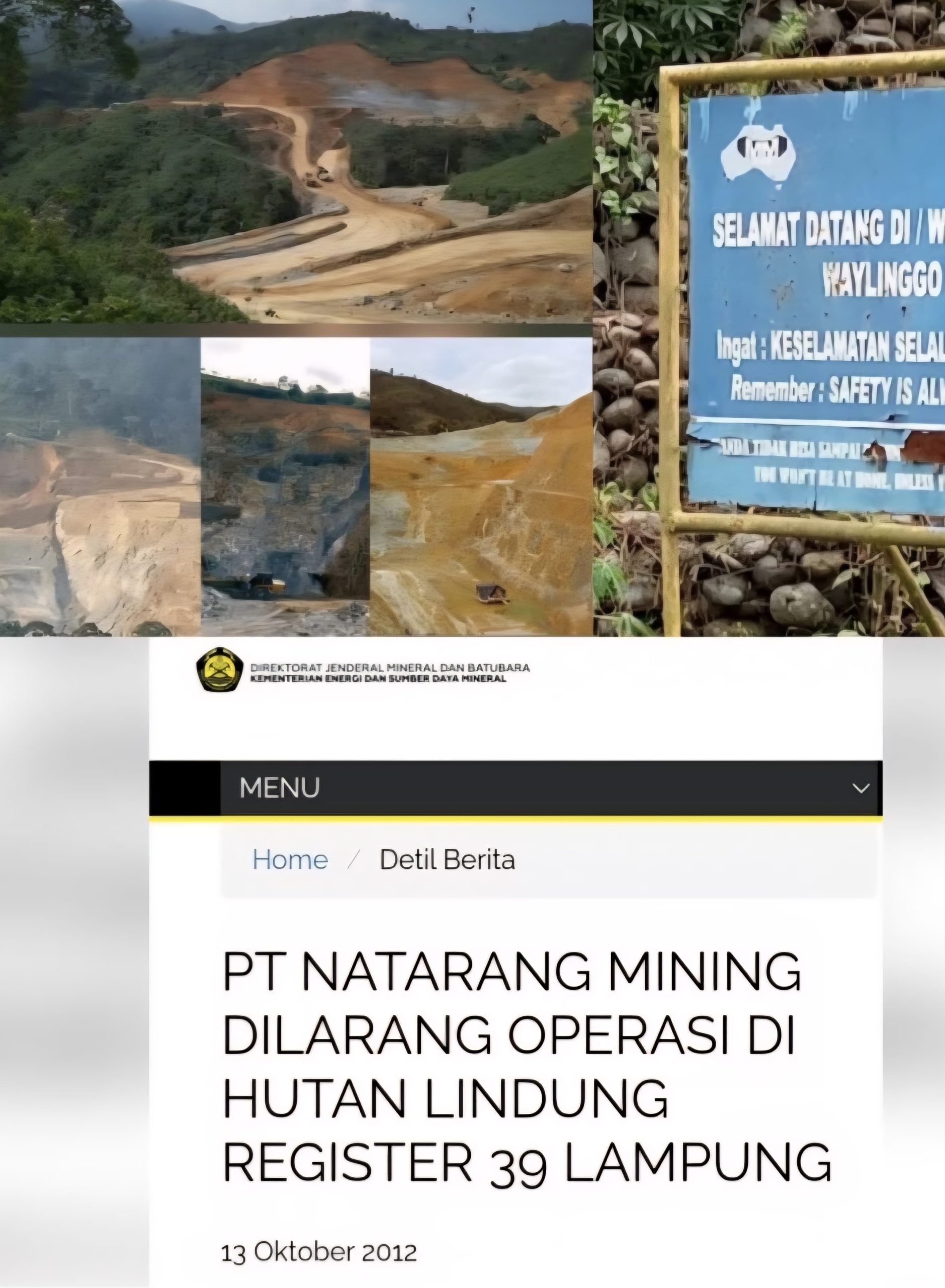 LSM PRO RAKYAT Desak Menhut Cabut Seluruh Izin di Kawasan Hutan