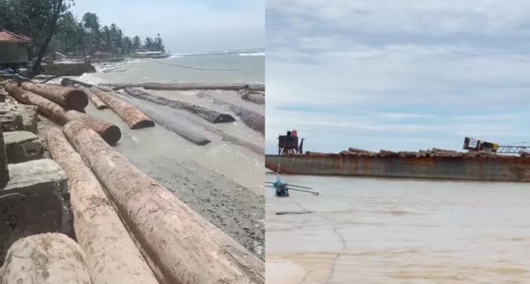 Ribuan Kubik Kayu Log Asal Sumbar Tumpah, Kapal Tongkang Terdampar di Pantai Tanjung Setia Pesisir Barat