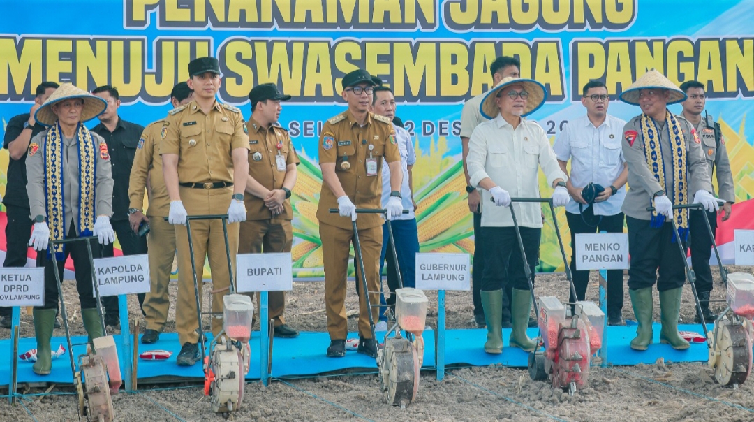 Pendapatan Petani Jagung Lampung Diklaim Naik Dua Kali Lipat, Angka Kemiskinan Ikut Turun