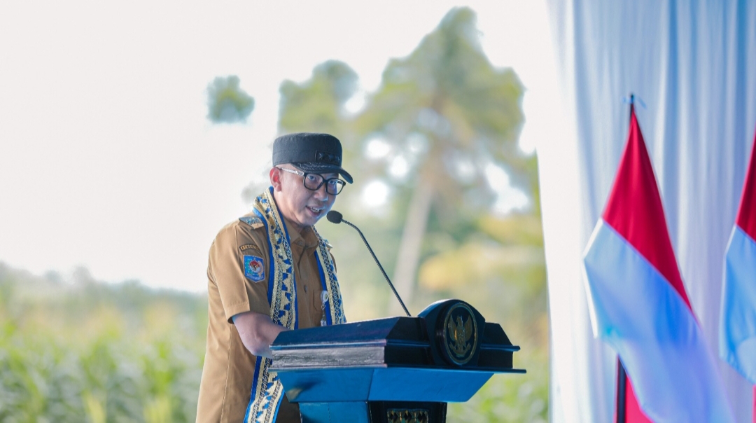 Gubernur Mirza: Semakin Banyak Jagung Ditanam, Semakin Terjangkau Harga Ayam