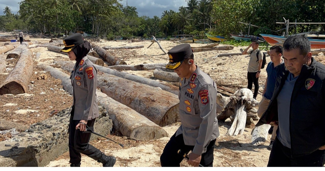 Barcode Kuning Bertulis ‘Nama Perusahaan dan Kemenhut’ pada Kayu Tongkang Ronmas 69 yang Terdampar di Tepi Pantai Pesibar Tuai Tanda Tanya