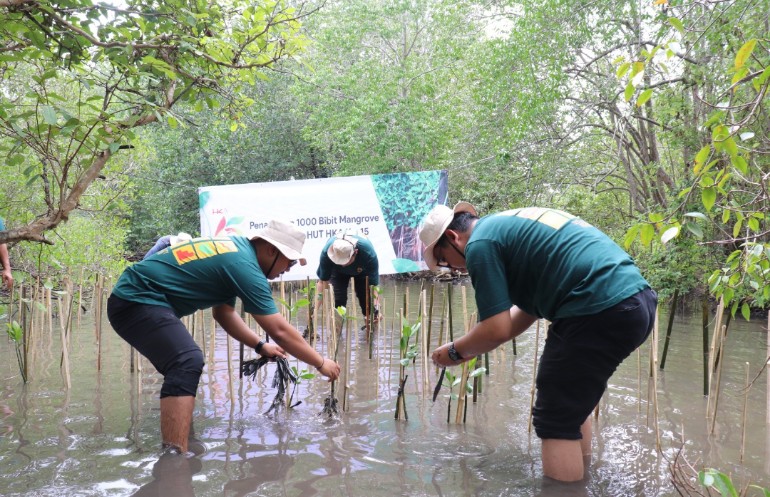 Di HUT ke-15, HKA Tol Bakter Tanam Seribu Bibit Mangrove di Wilayah Konservasi Way Lubuk