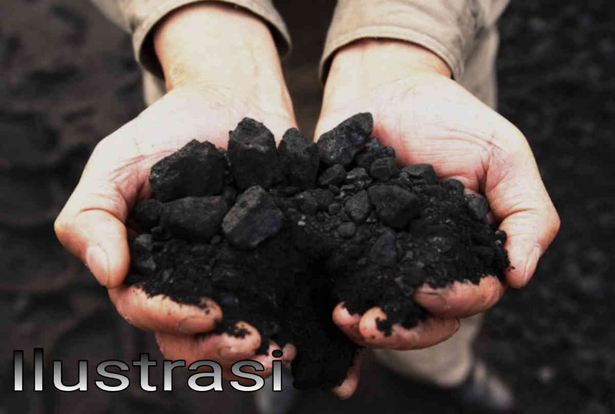 Jejak Tambang batubara ilegal di Kelumbayan: Modal Asing, Tenaga Kerja China, dan Operasi Senyap di Tanggamus