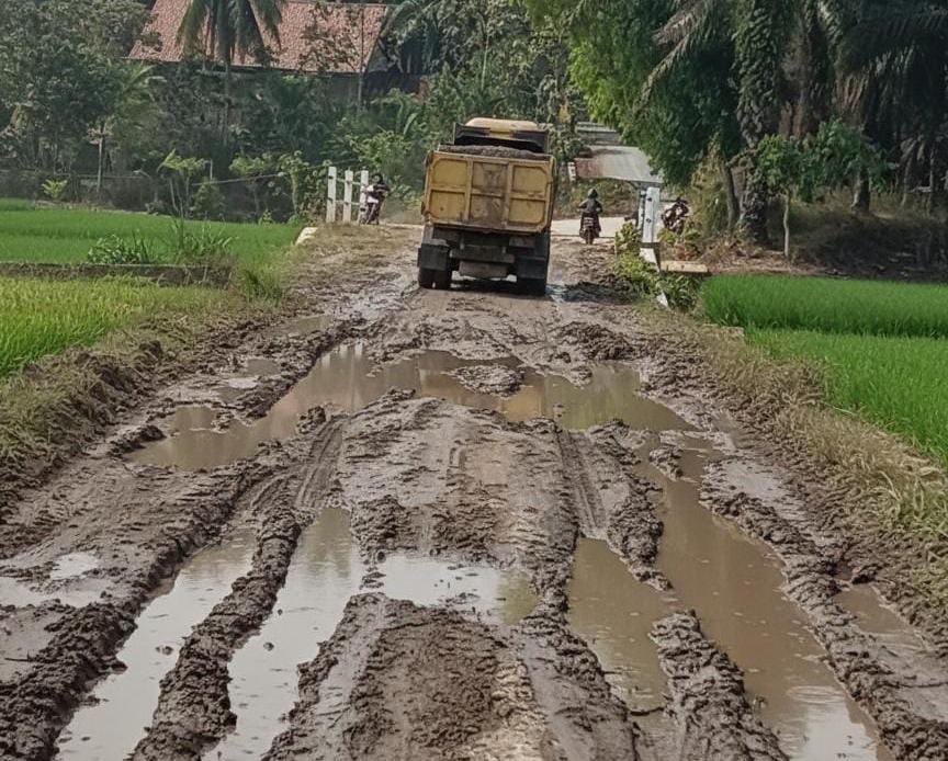Tambang Pasir Ilegal di Sendang Agung-Pubian Kembali Beroperasi, Jalan Pringsewu Rusak Parah