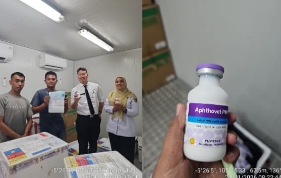 Pemprov Mulai Vaksinasi PMK 2026: 381.150 Dosis Disalurkan ke 15 Kabupaten/Kota