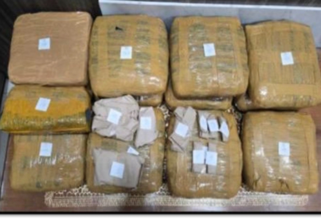 Warga Kalianda Terciduk Simpan 13,8 Kg Ganja di Kamar