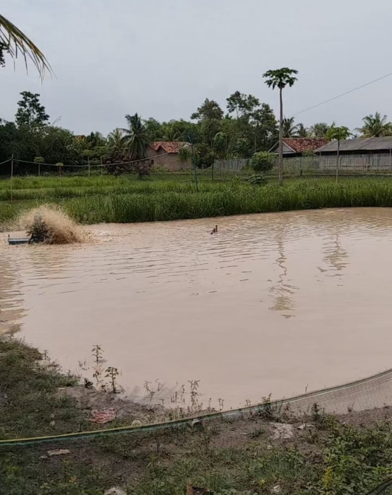 Budidaya Ikan BUMDes Tanjung Rejo Rp90 Juta Disorot, Warga Belum Rasakan Manfaat