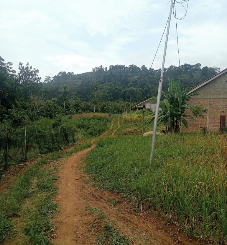 Diduga Langgar Aturan, Pengusaha Kaplingan Buka Lahan Tanpa Izin di Kawasan LP2B