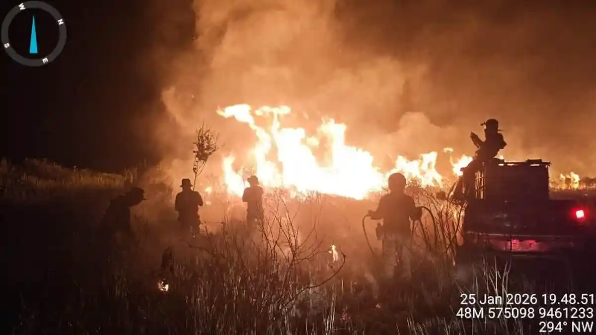 Ironi di Way Kambas: Usai Dialog ‘Bersatu dengan Alam’, 2.685 Hektare Hutan Justru Terbakar