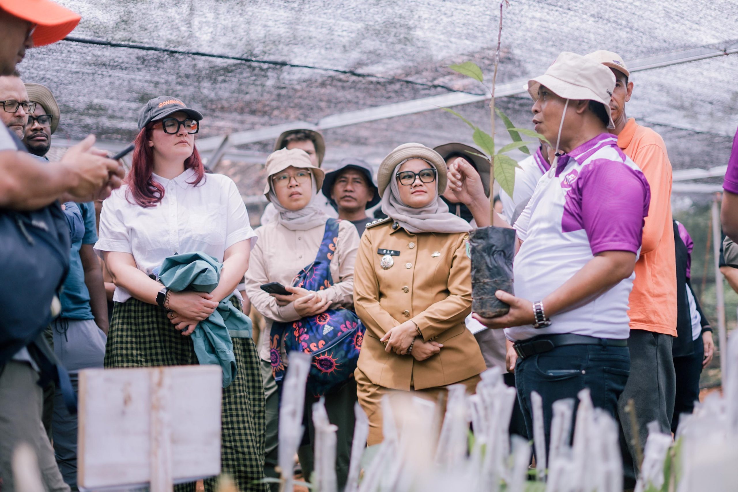 Prospek Kakao Di Lampung Timur Mampu Menopang Ekonomi Berlapis Bagi Petani
