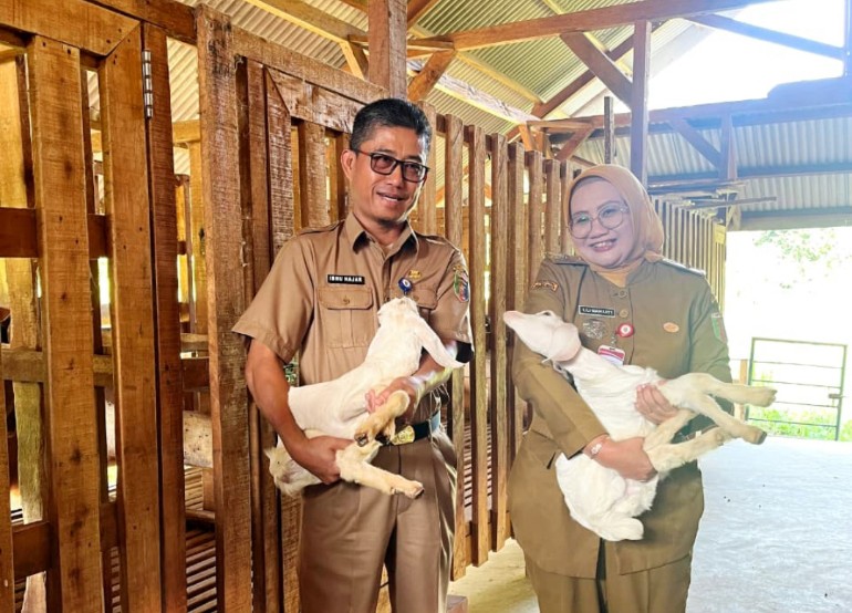 Stok Daging Sapi dan Kerbau Lampung 2025 Menyala, Surplus 3.955 Ton