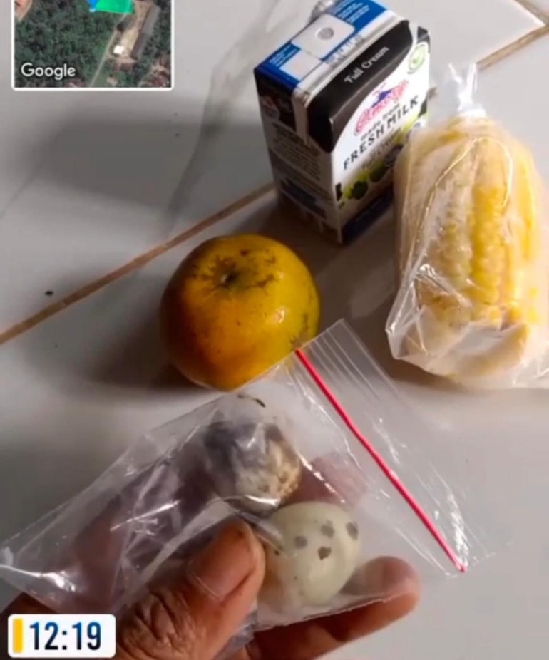 Menu MBG SD Bayas Jaya Diprotes: Isinya Dinilai Tak Sesuai Standar Gizi