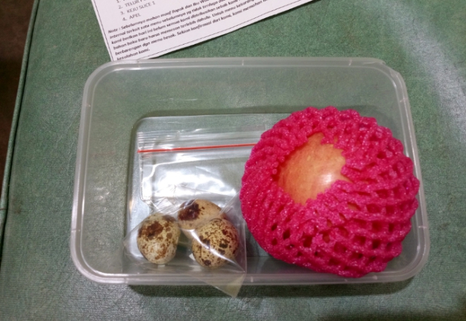 Program MBG di SDN 2 Metro Timur Siswa Hanya Terima Tiga Butir Telur Puyuh dan Satu Apel?