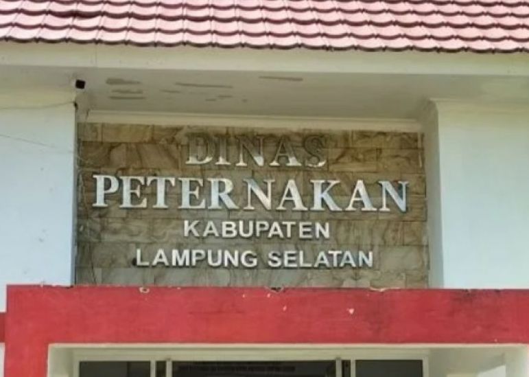 Dugaan Korupsi Pengadaan Ternak Disnakkes Lamsel TA 2025 Bakal Dilaporkan ke Kejati