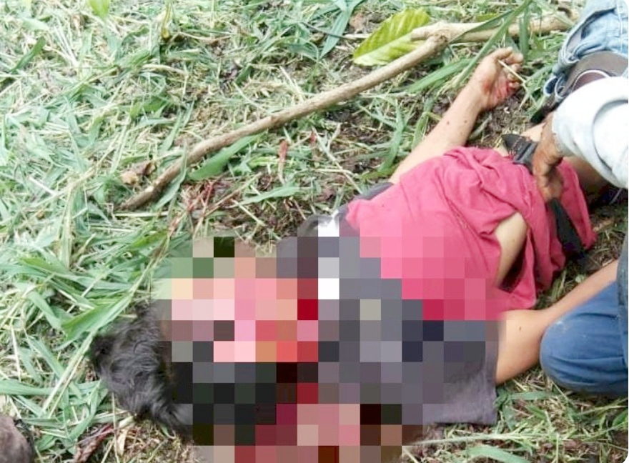 Warga Sukau Lampung Barat Geger, Pemuda Ditemukan Tewas Bersimbah Darah di Perkebunan
