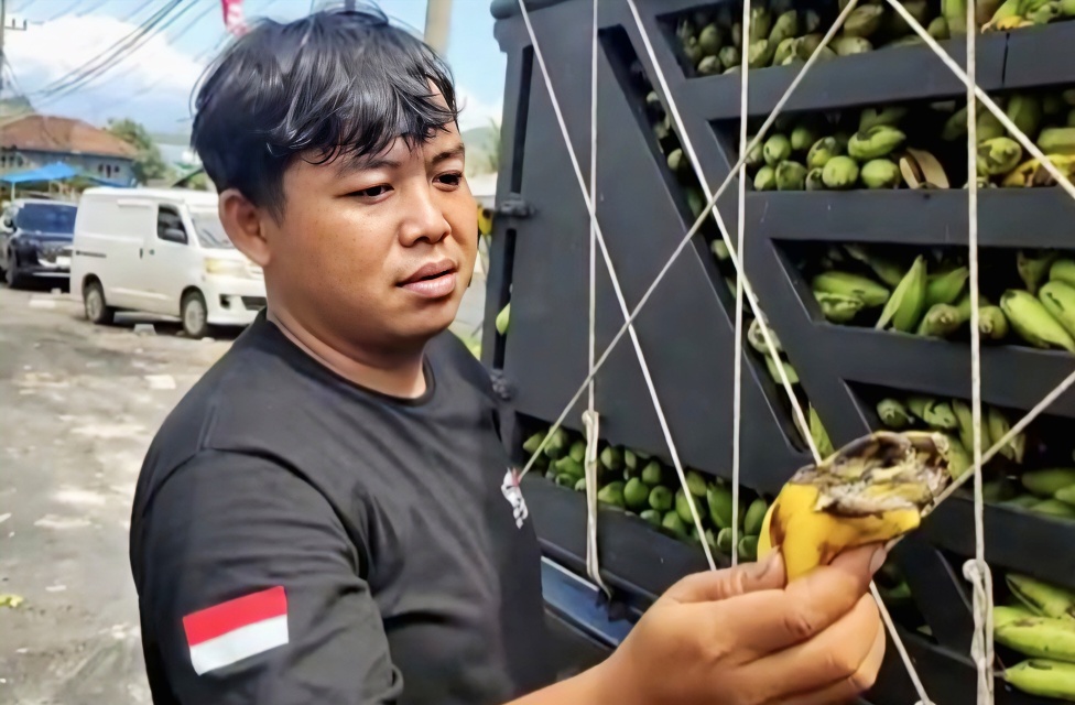 Sopir Pisang Rugi Puluhan Juta, KSOP Bakauheni Bantah Ada Antrean Panjang