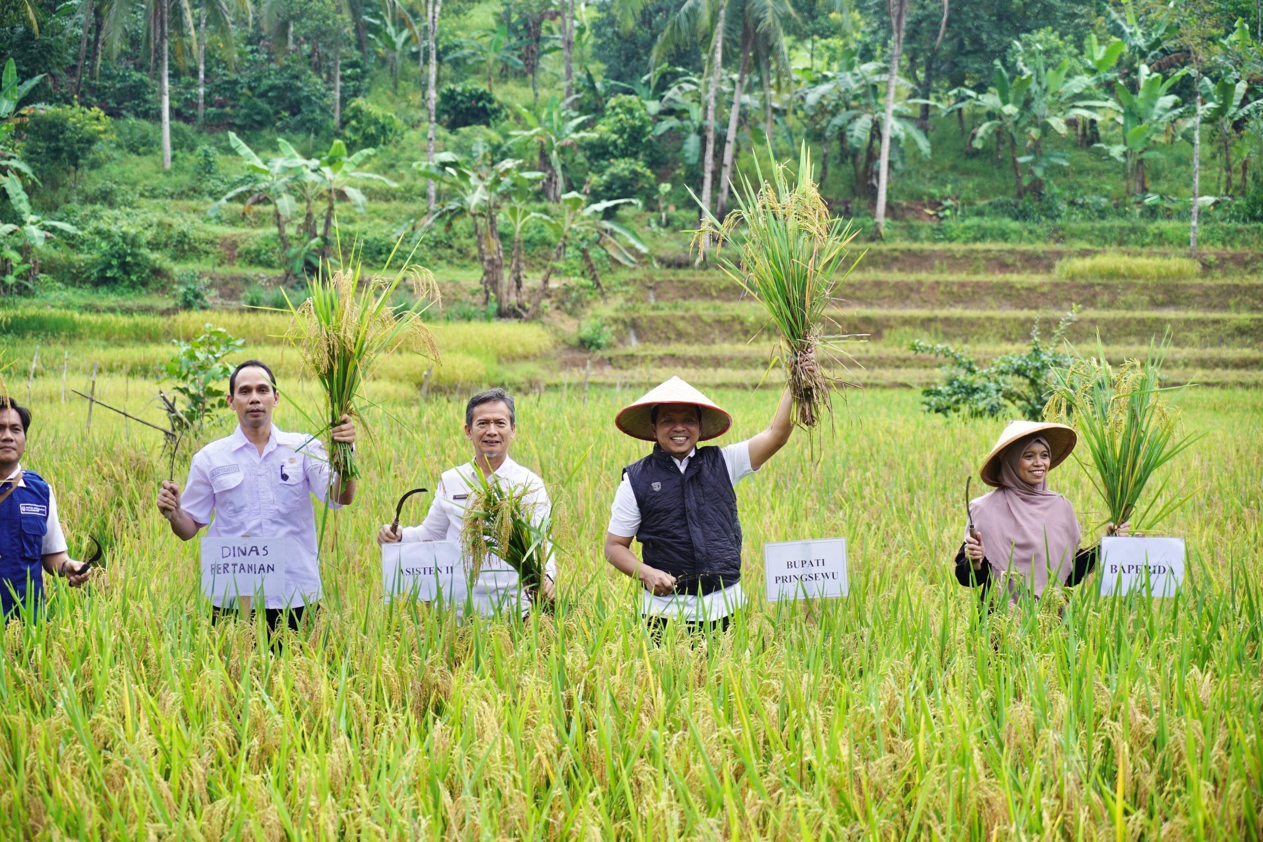 Panen Raya Padi di Sukoharjo, Bupati Riyanto Minta Petani Tak sia-siakan Program Bantuan Pemerintah