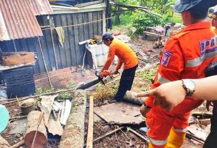 BPBD Bandar Lampung Ingatkan Warga Waspada Cuaca Ekstrem: Hindari Pohon Besar dan Perhatikan Drainase
