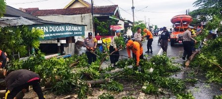 BPBD Bandar Lampung Tingkatkan Kesiapsiagaan Menghadapi Cuaca Ekstrem