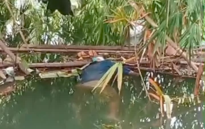 Geger, Peratin Pagar Dalam Pesisir Barat Ditemukan Tewas Mengapung di Sungai Way Marang