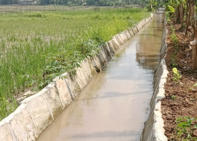 Proyek Irigasi Intruksi Presiden Prabowo di Lampung Tengah Diduga Amburadul, PT Brantas Abidpraya dan Pengawas Bungkam