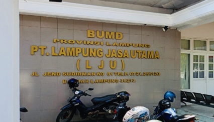 BPK Bongkar Cacat Prosedur Komisaris PT LJU: Langgar PP, Permendagri, Hingga Penunjukan Langsung