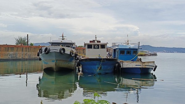 Pukat UGM Soroti Kasus Mafia BBM di Lempasing: Desak Polda Lampung Tangkap Aktor Utama