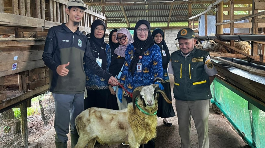 Jelang Iduladha, Lampung Libatkan 1.229 Petugas Pastikan Daging Kurban Aman dan Halal