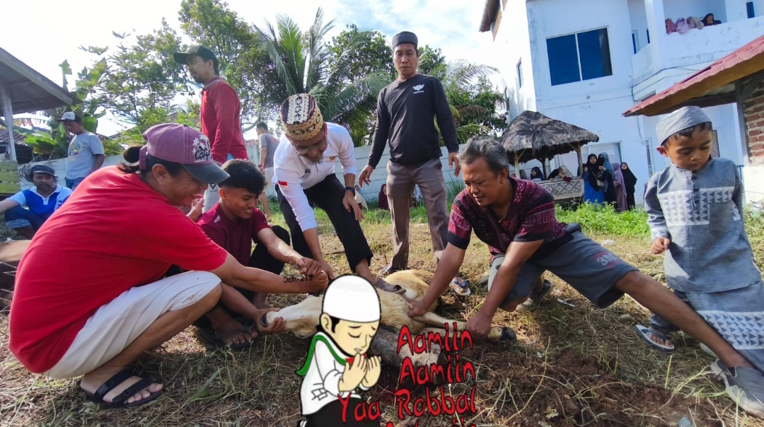 Kurban PPTQ MSI Lampung 1447 H Perkuat Nilai Sakai Sambayan dan Kepedulian Sosial Masyarakat Lampung
