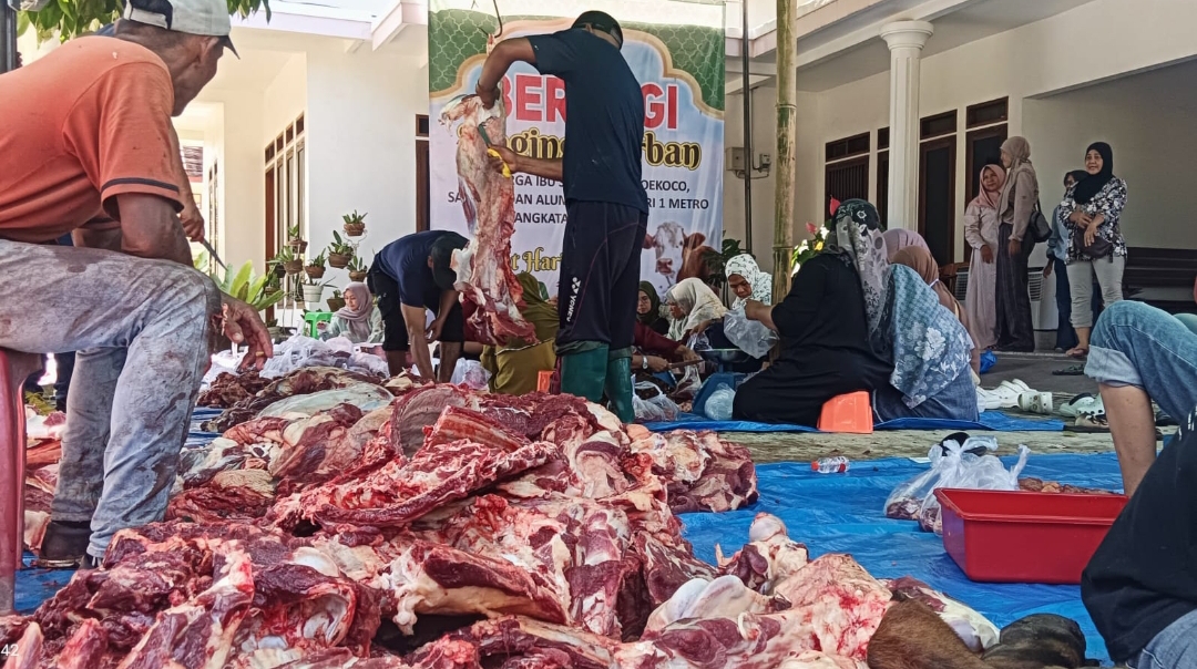 Idul Adha: Keluarga Besar Ibu Sri Murtini Sukoco Bersama Alumni SMPN 1 Metro Sembelih 8 Ekor Sapi