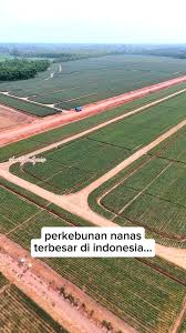Sengketa Lahan 150 Hektare di Lampung: Ahli Waris Ratu Bebas Siap Gugat PT GGP ke Pengadilan