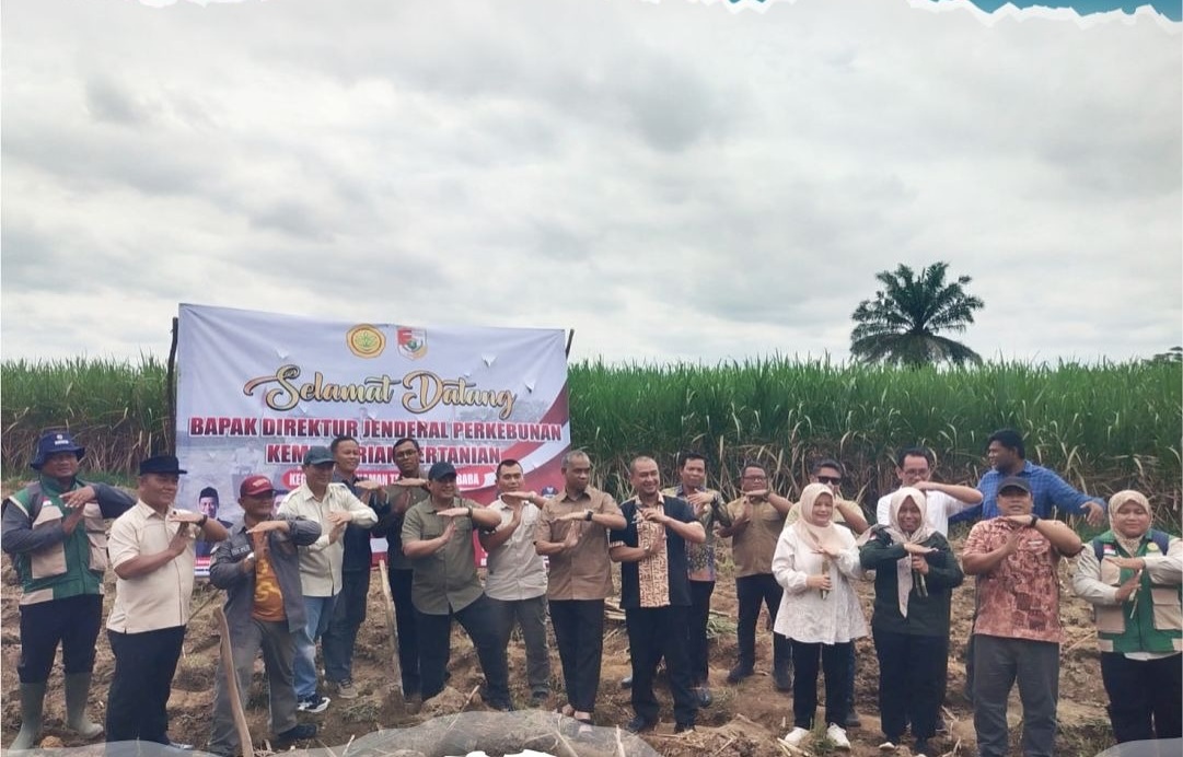 Program “Tebunisasi” Rp15,6 Miliar di Tubaba Diduga Fiktif, Lahan Lama Diduga Diklaim Lahan Baru
