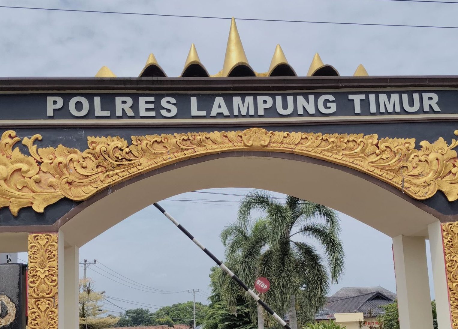 Polres Lampung Timur Periksa Saksi Terkait Kasus Dugaan Penganiayaan oleh Oknum Ketua Organisasi Advokat