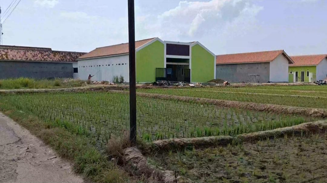 LSM Penjara Soroti Maraknya Alih Fungsi Sawah Produktif di Pekon Wonodadi, Pringsewu