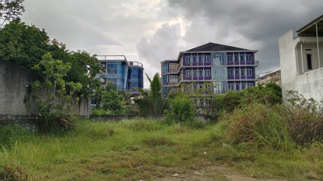 Dugaan Alih Fungsi Lahan Ancam Nasib Persawahan di Pekon Wonodadi, LSM Minta BPN Pringsewu Terbuka
