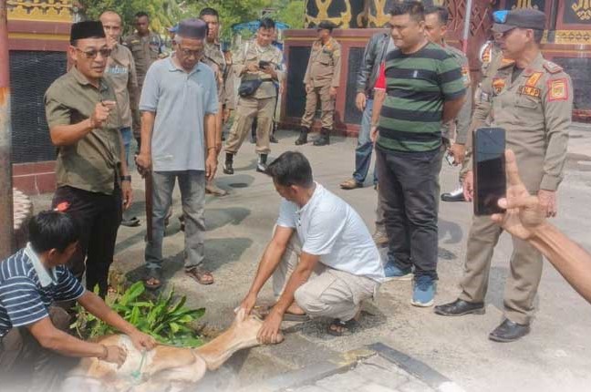 Sekda Lampung Tengah Tersangka Korupsi, Warga Gelar Aksi Potong Kambing di Halaman Pemkab