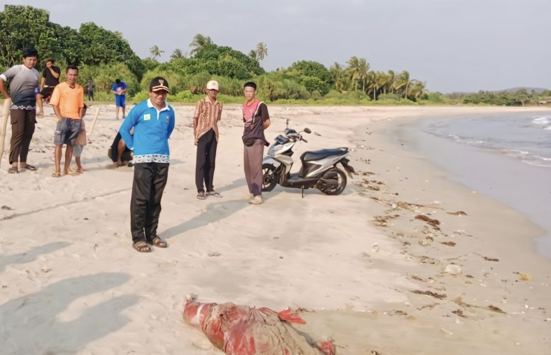 Warga Sidomulyo Digegerkan Temuan Mayat Pria Mengapung di Pantai Keramat